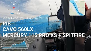 Rib CAVO 560LX  Mercury 115 PRO XS  Spitfire Prop [upl. by Nylecsoj]