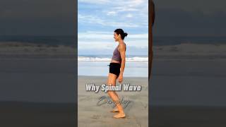 Why Spinal Wave 🌊 [upl. by Eicrad]