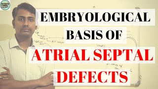 EMBRYOLOGICAL BASIS OF ATRIAL SEPTAL DEFECT II ASD II DEVELOPMENT OF INTERATRIAL SEPTUM [upl. by Lamag282]