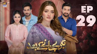 Teray Janay Kay Baad Episode 29  6 Sep 2024  ARY Digital Drama [upl. by Hgielar253]