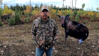 moose hunting tips amp tricks [upl. by Brander]