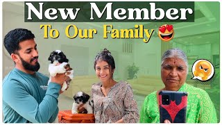 New Member 🥰 nikhilnisha  Nikhil Nisha Vlogs [upl. by Claude]