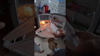 Why water leakage in single door refrigerator  EHSAN [upl. by Gurtner]