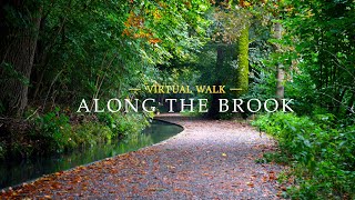 Autumn Walk along the Brook  Ochsenhausen Southern Germany  Singing birds and river sounds [upl. by Brout]