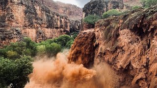 Havasupai Flash Flood 2024  Timeline [upl. by Heilner601]