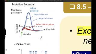 Potencial de acción y tetania Pt 2 [upl. by Croix]