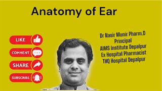 Anatomy of Ear Hearing [upl. by Goran]