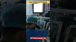 Day 5 Embryo Grading by Embryologist in IVF treatment ivf embryology day5 ivfjourney ivfsuccess [upl. by Torruella310]