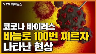 자막뉴스 코로나바이러스 바늘로 100번 찌르자 나타난 현상  YTN [upl. by Dnomder]