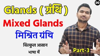 Mixed Gland  मिश्रित ग्रंथि  pancreas  galnds and hormones  glands of the human body in hindi [upl. by Merc]