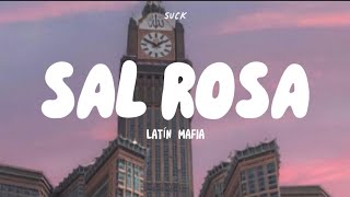 Latin Mafia  Sal rosa LetraLyrics [upl. by Sesom]