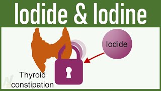 Iodide and Iodine  Mechanism of Action Uses Side Effects  Pharmacology [upl. by Dworman]