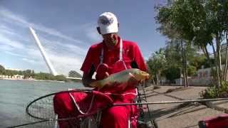 FEEDER en la Barqueta [upl. by Molloy770]