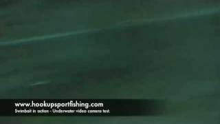 Underwater 8quot Triple Trout Action [upl. by Samuelson]