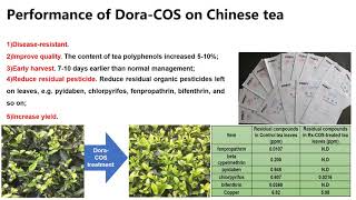 chitosan oligosaccharide new biocontrol solution in agriculture [upl. by Whiteley810]