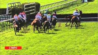 Prix Rohan  Auteuil  020314  Incident deuxième haie [upl. by Novrej408]