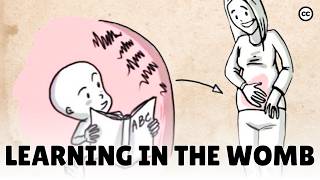 Prenatal Development What Babies Learn in the Womb [upl. by Dierdre]