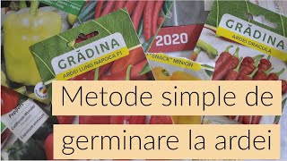 Metode simple de germinare la ardei  Verificare rata de germinare [upl. by Nelleyram]