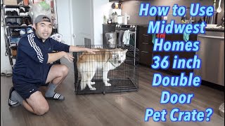 How to Use Midwest Homes 36 inch Double Door Pet Crate [upl. by Rimhsak]