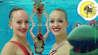 Coole Action im Wasser  Synchronschwimmen  Tigerenten Club  SWR Plus [upl. by Geanine]