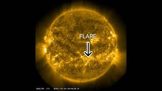 Unsere Sonne vom 290924 bis 051024 TIMELAPSE SDOAIA 0171gold  Größenvergleich zu Planeten [upl. by Matty]