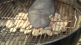 How to Grill Beaver Tail by BBQ Dragon [upl. by Ecirrehs]