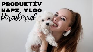 Produktív NAPI VLOG PORCUKORRAL 🖤 [upl. by Laurens]