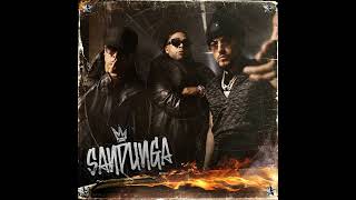 Don Omar Wisin Yandel  Sandunga Acapella Studio [upl. by Hillell]