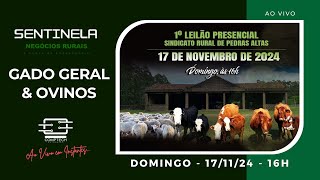 1º LEILÃO PRESENCIAL  SINDICATO RURAL DE PEDRAS ALTASRS  17112024  16H [upl. by Nollid]