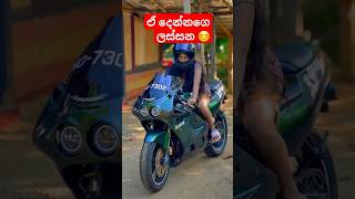 කට්ටිය ගල කොහොමද 😅❤️‍🩹 cbr250rr gallam bikevideo newviral shorts ytviral automobile lanka [upl. by Ellicott50]