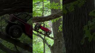 Tree transition 🤘 AxialFestBadlands AxialFest Axial AxialRacing AxialBasecamp Basecamp RC [upl. by Fattal]