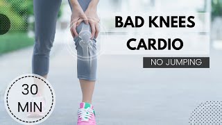 The Best Cardio for Bad Knees  No Jumping Cardio  Knee Friendly Workout  Exercises for Bad Knees [upl. by Aynotel]