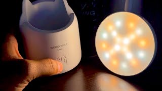 Weird Wolf TL008 LED Table Lamp And Pencil Holder Unboxing [upl. by Sellers255]