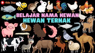 BELAJAR MENGENAL NAMA HEWAN TERNAK INDONESIA  INGGRIS  NAMA BINATANG  LEARN FARM ANIMALS NAME [upl. by Madi32]