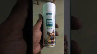 🐕Mandai dog puppy🐶 Applying powder💯 🪲Tick amp Flea🕷vetri [upl. by Yesnyl110]