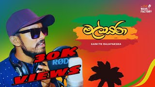 Malsara මල්සරා  Cover By Gamith Rajapaksha  Official Cover 2024 [upl. by Eiramlatsyrk193]