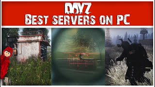 The BEST PC Servers You Need to Play on DayZ [upl. by Conall]