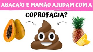 ABACAXI E MAMÃO AJUDAM COM A COPROFAGIA  Descubra agora [upl. by Ahcire]