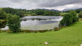 Elterwater – Loughrigg Tarn – Skelwith Force – Elter Water  Elterwater [upl. by Newhall]