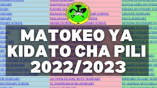 JINSI YA KUTAZAMA MATOKEO YA KIDATO CHA PILI 202223FORM TWO RESULTS 2022 NECTA [upl. by Ahsitahs]