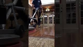 The Art of Floor Cleaning Unlock the secrets to achieving spotless floors [upl. by Marie-Jeanne699]