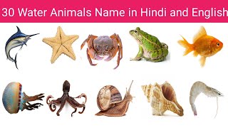 30 Water Animals Name in Hindi and English me with picture । Oceans Animal Name । [upl. by Blount770]