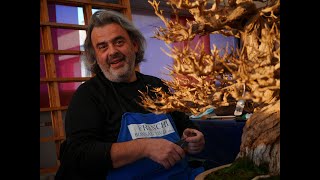 comè andato Arco Bonsai Intervista a Francesco Santini [upl. by Solim]