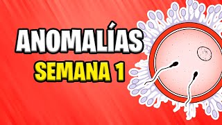 💀 ANOMALÍAS y COMPLICACIONES de la Primera Semana de Gestación 🤰 [upl. by Atiker598]