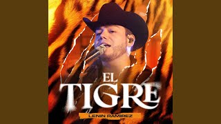 El Tigre [upl. by Attiuqehs]