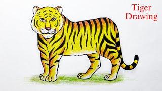 Tiger Drawing full body EASY  बाघ का चित्र  How to Draw a Tiger  Animal Drawing [upl. by Cozza506]