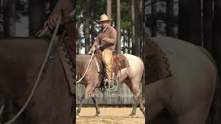 Heres the secret to neck reining [upl. by Todhunter]