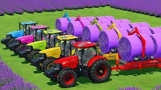 HARVEST LOAD amp MAKE LAVENDER BALES WITH CASE TRACTORS amp JOHN DEERE HARVESTERS  FS22 [upl. by Eisteb315]