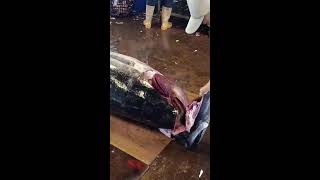 Amazing Giant Bluefin Tuna Cutting Skill [upl. by Noimad523]