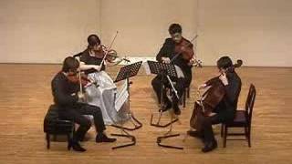 Beethoven String Quartet No4 in C minor op184 1mov [upl. by Quin276]